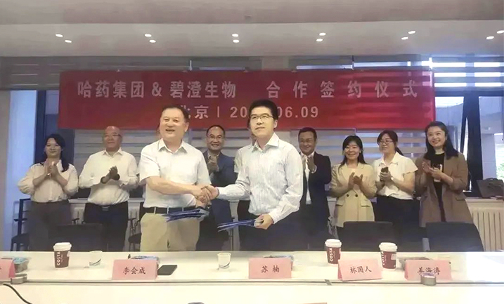 哈药携手清华大学，强强联合共创胶原蛋白行业未来